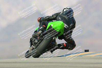 media/Jan-13-2024-SoCal Trackdays (Sat) [[9c032fe5aa]]/Turn 9 Backside (110pm)/